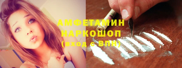 ГАЛЛЮЦИНОГЕННЫЕ ГРИБЫ Бородино