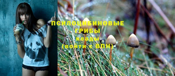 мдпв Бугульма