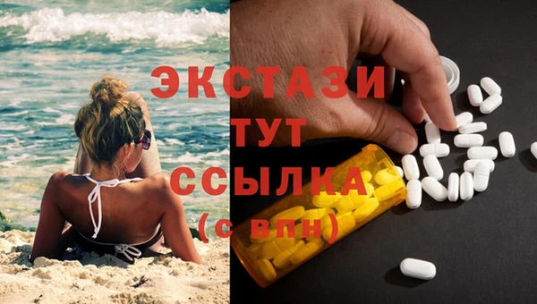 ГАЛЛЮЦИНОГЕННЫЕ ГРИБЫ Бородино