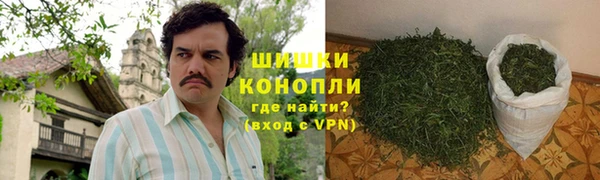 ГАЛЛЮЦИНОГЕННЫЕ ГРИБЫ Бородино