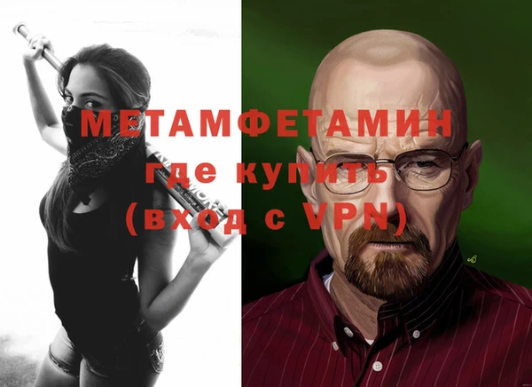 ГАЛЛЮЦИНОГЕННЫЕ ГРИБЫ Бородино