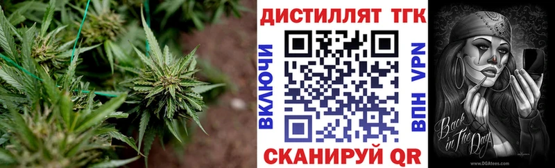 купить закладку  Дигора  Дистиллят ТГК жижа 