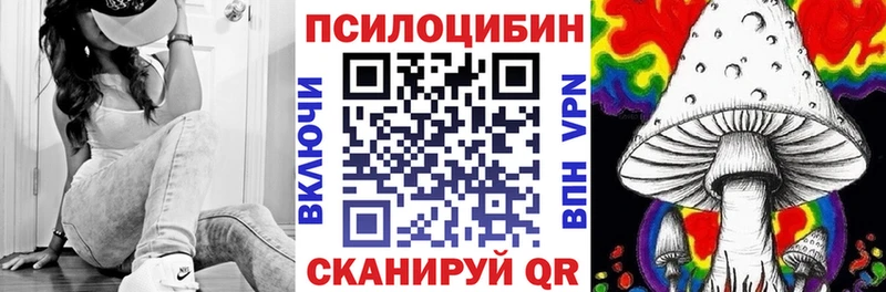 Псилоцибиновые грибы Psilocybe  ссылка на мегу ТОР  Дигора  магазин продажи наркотиков 