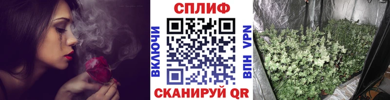 Марихуана Amnesia  кракен ссылки  сайты даркнета клад  где продают наркотики  Дигора 